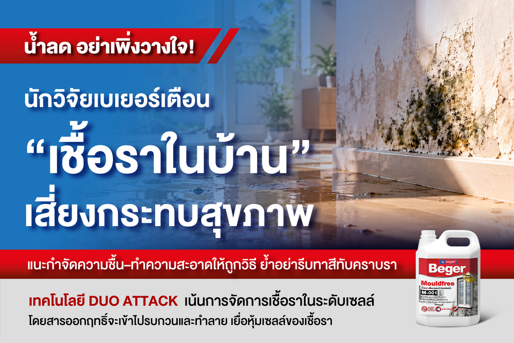 น้ำลด อย่าเพิ่งวางใจ! “นักวิจัยเบเยอร์” เตือน “เชื้อราในบ้าน” เสี่ยงกระทบสุขภาพ แนะกำจัดความชื้น–ทำความสะอาดให้ถูกวิธี ย้ำอย่ารีบทาสีทับคราบรา